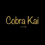 Netflix『コブラ会Cobra Kai』ベストキッドの続編 最新はSeason5